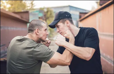 Tu vois une bagarre...