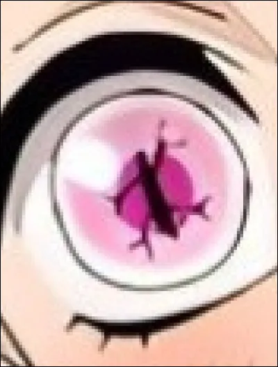 A qui appartient cet œil ?