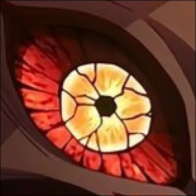 A qui appartient cet œil ?