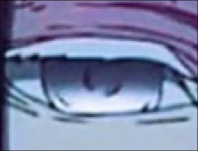 A qui appartient cet &oelig;il ?