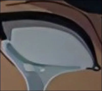 A qui appartient cet œil ?