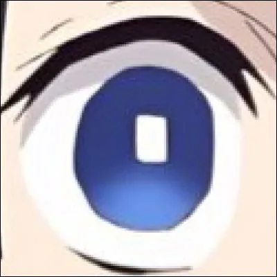 A qui appartient cet œil ?