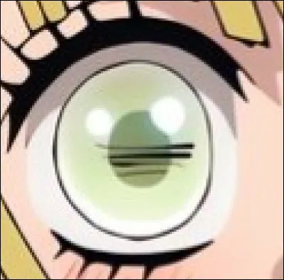 A qui appartient cet œil ?