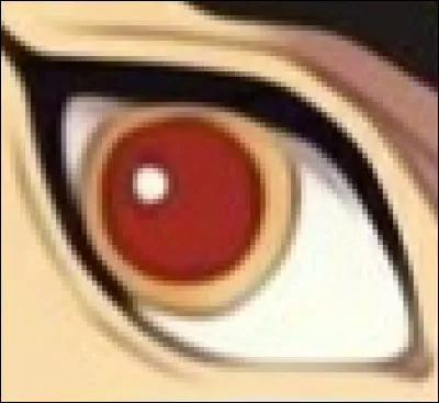 A qui appartient cet œil ?