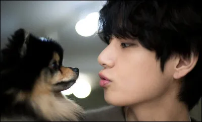 Quelle est sa race et son coloris ?