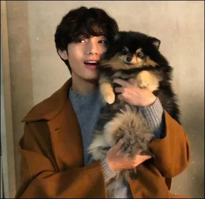 Comment les Army l'ont-ils vu pour la première fois ?