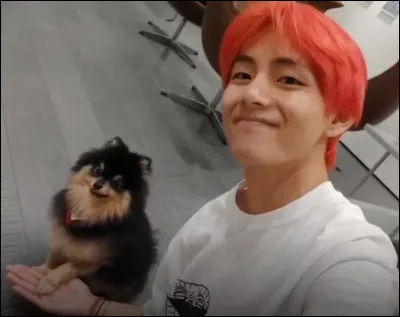 Pendant que Kim TaeHyung était en tournée, avec qui restait-il ?