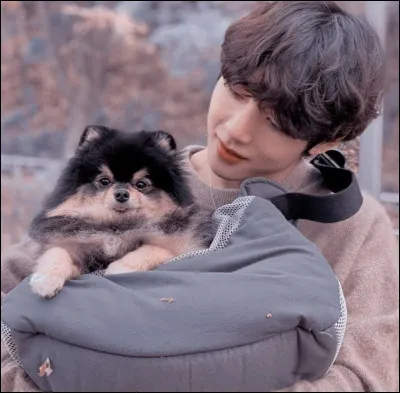 Quel problème avait-il ?