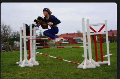 Enfin, le hobby horse a un pays de prédilection, lequel ?
