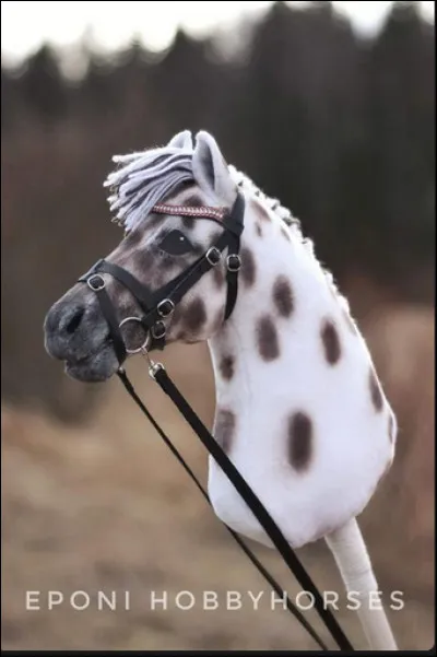 La plus grande taille de hobby horses est :