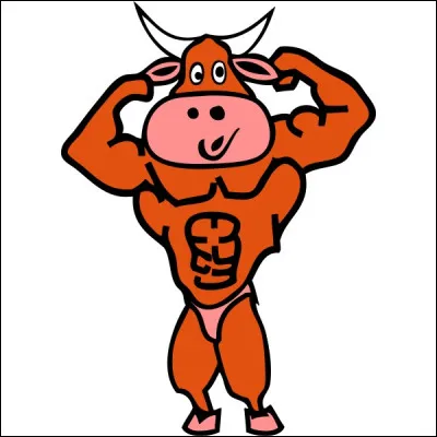 À quel animal compare-t-on une personne massive possédant une force puissante ?