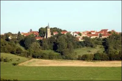 Village de l'arrondissement de Langres, Laferté-sur-Amance se situe dans le département ...