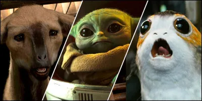 Quelle est ta créature préférée ?