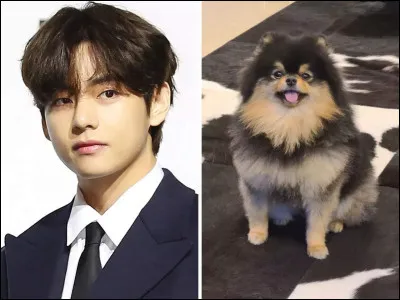 Veux-tu quil soit avec son maître ?