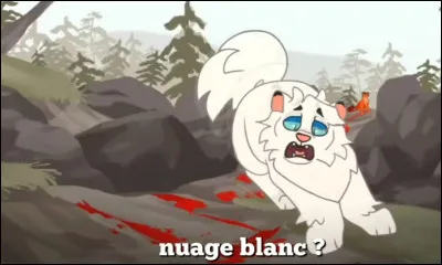 Le guérisseur arrive avec des remèdes. Il la soigne mais finit par répondre : 
- Cest trop tard il a touché le cur 
Elle se réveille mais pas longtemps, juste le temps de te dire : 
- je taime, passe une bonne vie, entouré de tes proches, moi je vais rejoindre tous les valeureux guerriers qui ont foulé ces terres avant nous Au revoir 
Quelle émotion ressens-tu ?