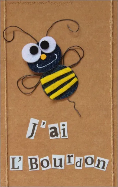 Qu'a-t-on lorsqu'on a le bourdon ?