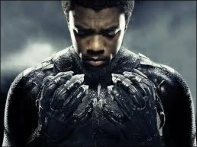 Quel est le nom de l'acteur ayant incarné Black Panther dans le film du même nom sorti en 2018 ?