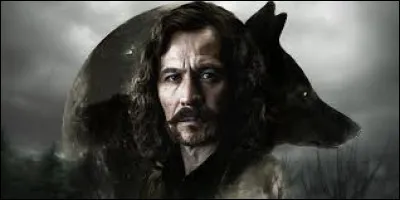 Dans quelle saga trouve-t-on le personnage de Sirius Black ?