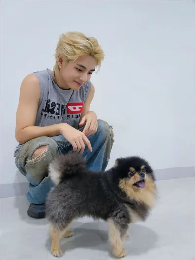 Sur la photo, comment veux-tu qu'il soit ?