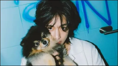 Veux-tu qu'il te regarde ?