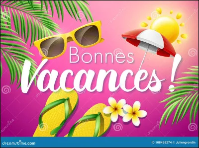 Pour les vacances, tu aimerais :