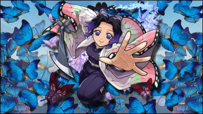 Quel souffle préfères-tu ? (2/3)