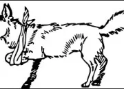 Test Lutin, Elfe, Gobelin ou Chevaucheuse d'cureuil ?