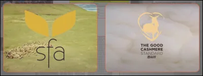 En réalité et actuellement, SFA* est le seul et unique label présentant le caractère ''durable'' du cachemire de Mongolie. Le directeur de ce label déclare aussi... ?