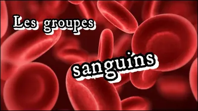 Dans le système ABO, combien existe-t-il de groupes sanguins ?