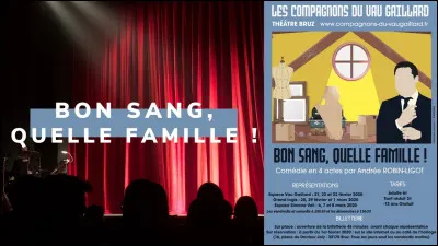 Quelle est l'expression correcte : "Bon sang ne saurait ..." ?