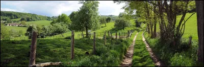C'est une région naturelle normande. 
Quelle illustration pourrait l'imager de manière symbolique ?