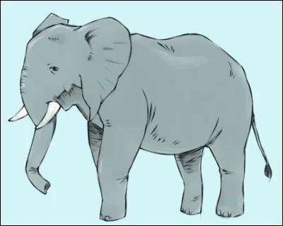 Que dit-on d'une personne qui a une excellente mémoire et qui se souvient de beaucoup de choses ?