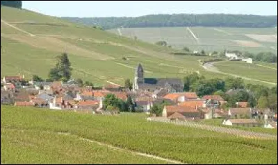 Je vous emmène au milieu des vignes, à Oger. Ancienne commune Marnaise, elle se situe en région ...