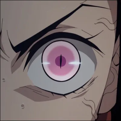 De quelle couleur sont ses yeux ?