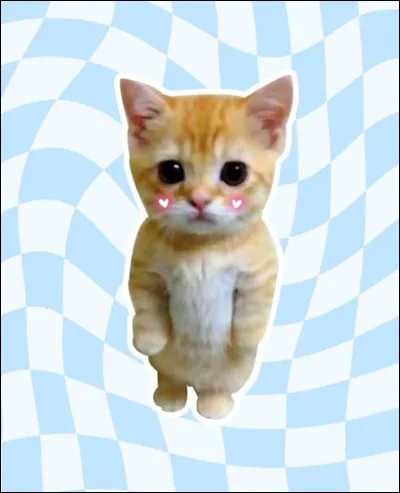 Quel est ton animal préféré ? (1)