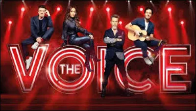 Quel chanteur à voix, originaire de Chalon-sur-Saône et jury de "The Voice", est notamment connu pour "sa liberté de penser" ?