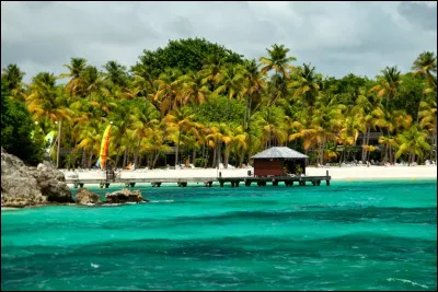 En quelle année est né Saint-Louis ?