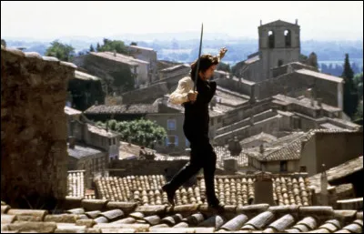 Le titre "Le Hussard sur le toit", est-il correct ?