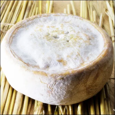 Délice des Aravis est un reblochon au lait de chèvre exclusivement fermier.