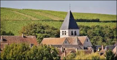 Petit tour dans les vignes, à Sury-en-Vaux. Village Berrichon, il se situe en région ...