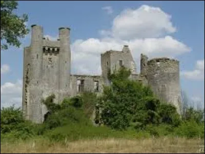 Je vous attends devant les ruines du château de Passy-les-Tours, à Varennes-lès-Narcy. Village de l'arrondissement de Cosne-Cours-sur-Loire, il se situe dans le département ...