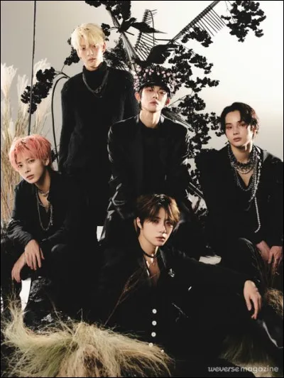 Qui est ton bias dans TXT ?