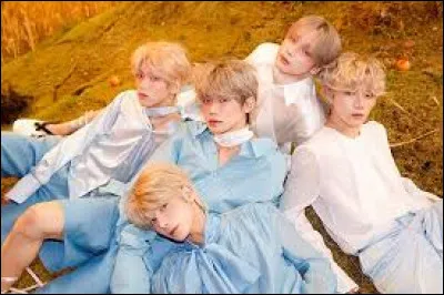 Quel est ton groupe préféré parmi ceux ci-dessous ?