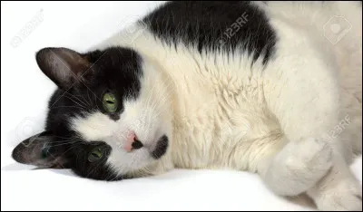 Qui &eacute;tait son meilleur ami ?