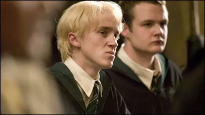 Déjà, aimes-tu Drago, le célèbre Serpentard ?