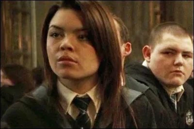 Aimes-tu le style manga ?