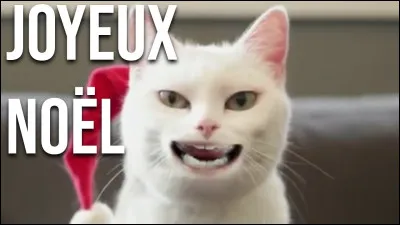 As-tu hâte d'être à Noël ? (Cest bientôt, non ?)