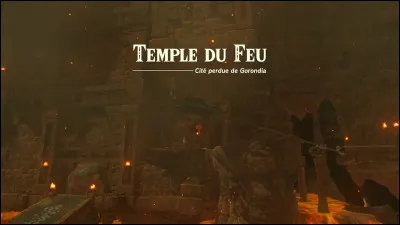 Si oui, quel donjon as-tu pr&eacute;f&eacute;r&eacute; ?