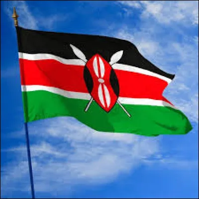 À quel pays ce drapeau appartient-il ?