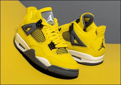 Quelle est cette chaussure ?